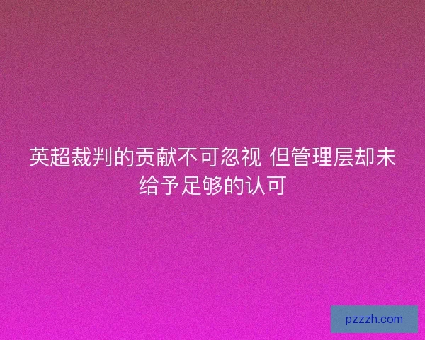 英超裁判的贡献不可忽视 但管理层却未给予足够的认可